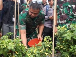 Kasad: Agroforestry Dorong Kesejahteraan Petani dan Ketahanan Pangan Nasional