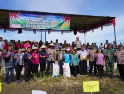 Poktan Binaan Kapolres Toba Tanam Jagung, Wakil Bupati Sampaikan Terimakasih