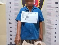 Supir Angkot Pengedar 200 Gram Ganja Diringkus Polisi Saat Berhenti di SPBU Balige