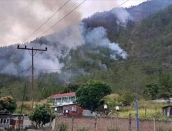 Panggilan Urgensi Damkar Dairi: Sinergi Damkar dan Manggala Agni Penting Untuk Dairi