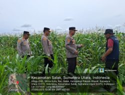 Dukung Ketahanan Pangan Kapolres Pakpak Bharat Bersama PJU Dan Stakeholder Terkait Cek Lahan Ketapang