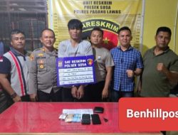 Polsek Sosa Berhasil Tangkap Pelaku Sabu di Kebun Sawit di Desa Aek Tinga