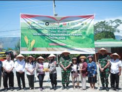 Polres Samosir dan Polsek Jajaran Tanam Jagung Serentak Kuartal IV Dukung Ketahanan Pangan Nasional