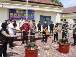 Komitmen Dalam Pemberantasan Narkotika Polres Pakpak Bharat Lakukan Pemusnahan BB Narkotika