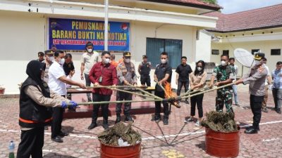 Komitmen Dalam Pemberantasan Narkotika Polres Pakpak Bharat Lakukan Pemusnahan BB Narkotika