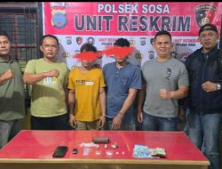 Breaking News : Polsek Sosa Berhasil Tangkap Pengedar dan Pemakai Sabu dan Ganja 