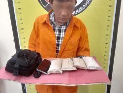 Polres Humbahas Tangkap Pengedar Ganja, Tegaskan Komitmen Perangi Narkoba