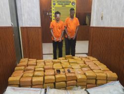 Timsus Ditresnarkoba Polda Sumut Gagalkan Peredaran 255 Kg Ganja Asal Aceh, Dua Kurir Ditangkap