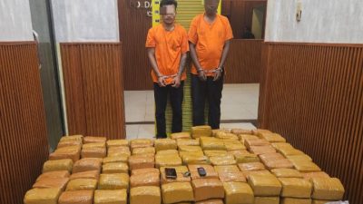 Timsus Ditresnarkoba Polda Sumut Gagalkan Peredaran 255 Kg Ganja Asal Aceh, Dua Kurir Ditangkap
