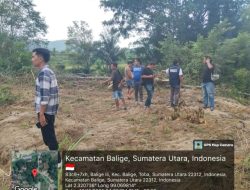 Satreskrim Polres Toba Tindak Lanjuti Aduan Masyarakat Terkait Adanya Penebangan Kayu di Kawasan Hutan, Ini Hasilnya