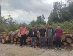 Polres Humbahas Selidiki Penebangan Kayu di Kawasan Hutan Lindung Diduga Libatkan Oknum Polisi