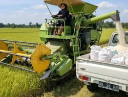 Sewakan Mesin Pemanen Padi ke Luar Daerah, Ketua Poktan Marsada Sumbul Dairi Tidak Transparan