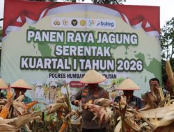 Polres Humbahas Bersama Petani Gelar Panen Raya Jagung Kuartal I 2026 Serentak