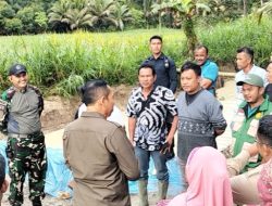 Dandim 0210/ TU Bersama Bupati Taput Tinjau Progres Pembangunan Jembatan Pasca Bencana di Purba Tua 