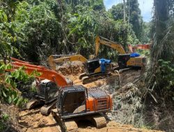 Polda Sumut Bongkar Tambang Emas Ilegal Beromzet Miliaran, 17 Orang dan 14 Ekskavator Diamankan