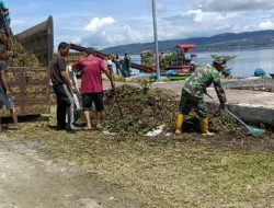 Kodim 0210/TU Gencar Bersihkan Eceng Gondok, Untuk Menjaga Keindahan dan Pariwisata di Sepanjang Danau Toba 