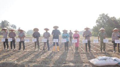 Kapolres Toba bersama Forkompinda Laksanakan Penanaman Jagung Serentak Kuartal I Tahun 2026