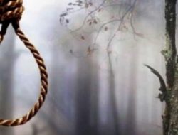 Diduga Masalah Asmara, Pria Gantung Diri di Batang Pohon di Lereng Bukit di Balige 