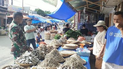Babinsa Turun Langsung Cek Harga Sembako di Pasar Laguboti 