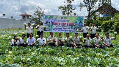 Wujudkan Ketahanan Pangan, Rutan Sidikalang Gelar Panen Raya Kubis 2026
