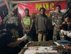 Satgas Yonif 403/WP Gagalkan Penyelundupan 2 Kg Ganja di Perbatasan RI–PNG
