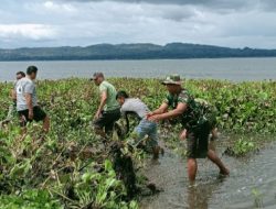 Kodim 0210/TU Terus Gencar Laksanakan Aksi Pembersihan Eceng Gondok di Danau Toba 