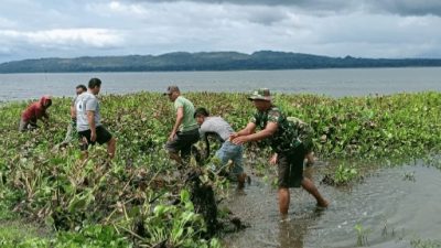 Kodim 0210/TU Terus Gencar Laksanakan Aksi Pembersihan Eceng Gondok di Danau Toba 