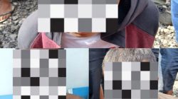 Polsek Porsea Amankan 3 Terduga Pelaku Pencurian Ternak di Pintu Pohan Maranti