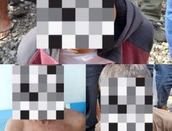 Polsek Porsea Amankan 3 Terduga Pelaku Pencurian Ternak di Pintu Pohan Maranti