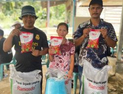 Dari Tambang ke Tani: Strategi Besar PT Dairi Prima Mineral Bangun Ekonomi Rakyat Berbasis Agribisnis Berkelanjutan