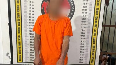 Sempat Melawan Pakai Gunting, Pengedar Sabu Diringkus Polisi di Kebun Sawit Raya Kahean