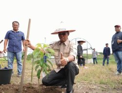 Peringati HUT ke-25 Yayasan Del, 1.000 Bibit Pohon Ditanam untuk Dukung Kelestarian Lingkungan di Toba