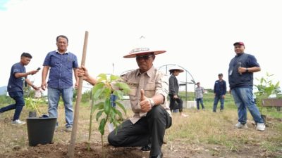 Peringati HUT ke-25 Yayasan Del, 1.000 Bibit Pohon Ditanam untuk Dukung Kelestarian Lingkungan di Toba