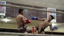 Balige Fight Night Season 2 Jadi Ajang Pembinaan Atlet Bela Diri Sumatera Utara