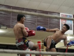 Balige Fight Night Season 2 Jadi Ajang Pembinaan Atlet Bela Diri Sumatera Utara