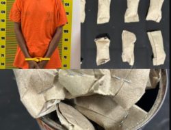 Pengedar Ganja di Medan Area Diciduk Saat Transaksi, Polisi Sita 24 Bungkus Siap Edar