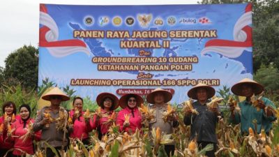Sinergi Polri dan Masyarakat, Polres Humbahas Panen Jagung Serentak