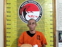 Pria 53 Tahun di Padangsidimpuan Ditangkap Saat Bawa 900 Gram Ganja di Jalinsum