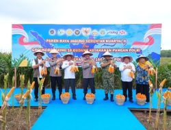 Polda Sumut Ikuti Panen Raya Jagung Serentak Polri Bersama Presiden Prabowo, Dukung Ketahanan Pangan Nasional