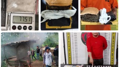 5 Hari Tanpa Henti, Polda Sumut Ringkus 342 Pelaku Narkoba dan Gempur 57 Sarang Peredaran