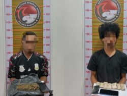 Satres Narkoba Polres Samosir Ringkus Dua Pria Pemilik Ganja di Pangururan