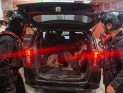 Brimob Sumut Gagalkan Percobaan Pencurian Saat Patroli Dini Hari, Dua Terduga Diamankan