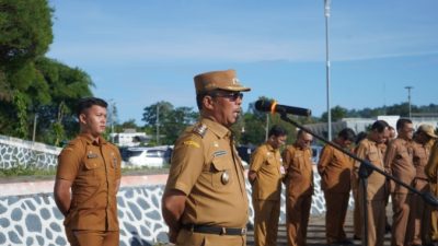 Wabup Toba Tekankan Peran Adat dan Budaya dalam Mewujudkan Toba Mantap 