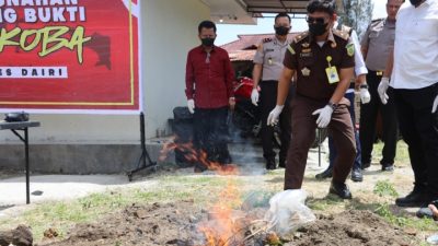 Polres Dairi Kirim Pesan Keras ke Pengedar Narkoba Lewat Pemusnahan Barang Bukti Ganja