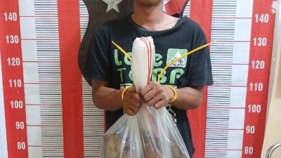 Cekcok dengan Istri, Suami Bakar Rumah Mertua di Jangga Dolok, Pelaku Berhasil Diamankan Polres Toba di Padang Lawas Utara 