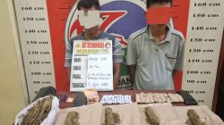 Satres Narkoba Polres Padang Lawas Tangkap Dua Terduga Pengedar Ganja, Ratusan Gram Barang Bukti Disita