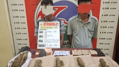 Satres Narkoba Polres Padang Lawas Tangkap Dua Terduga Pengedar Ganja, Ratusan Gram Barang Bukti Disita