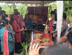 Tim TP PKK Provsu Monitoring Desa Binaan Kabupaten Toba 
