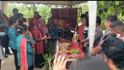 Tim TP PKK Provsu Monitoring Desa Binaan Kabupaten Toba 