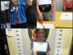 Bandar Narkoba Bersama 5 Pelaku Berhasil Diamankan Polisi di Balige, 281,85 Gram Ganja Disita